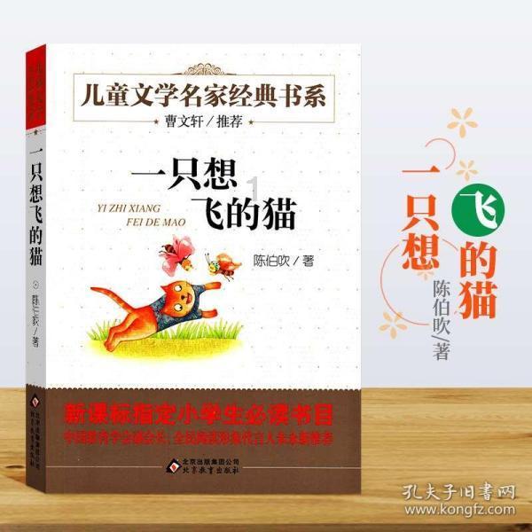 柴人决击